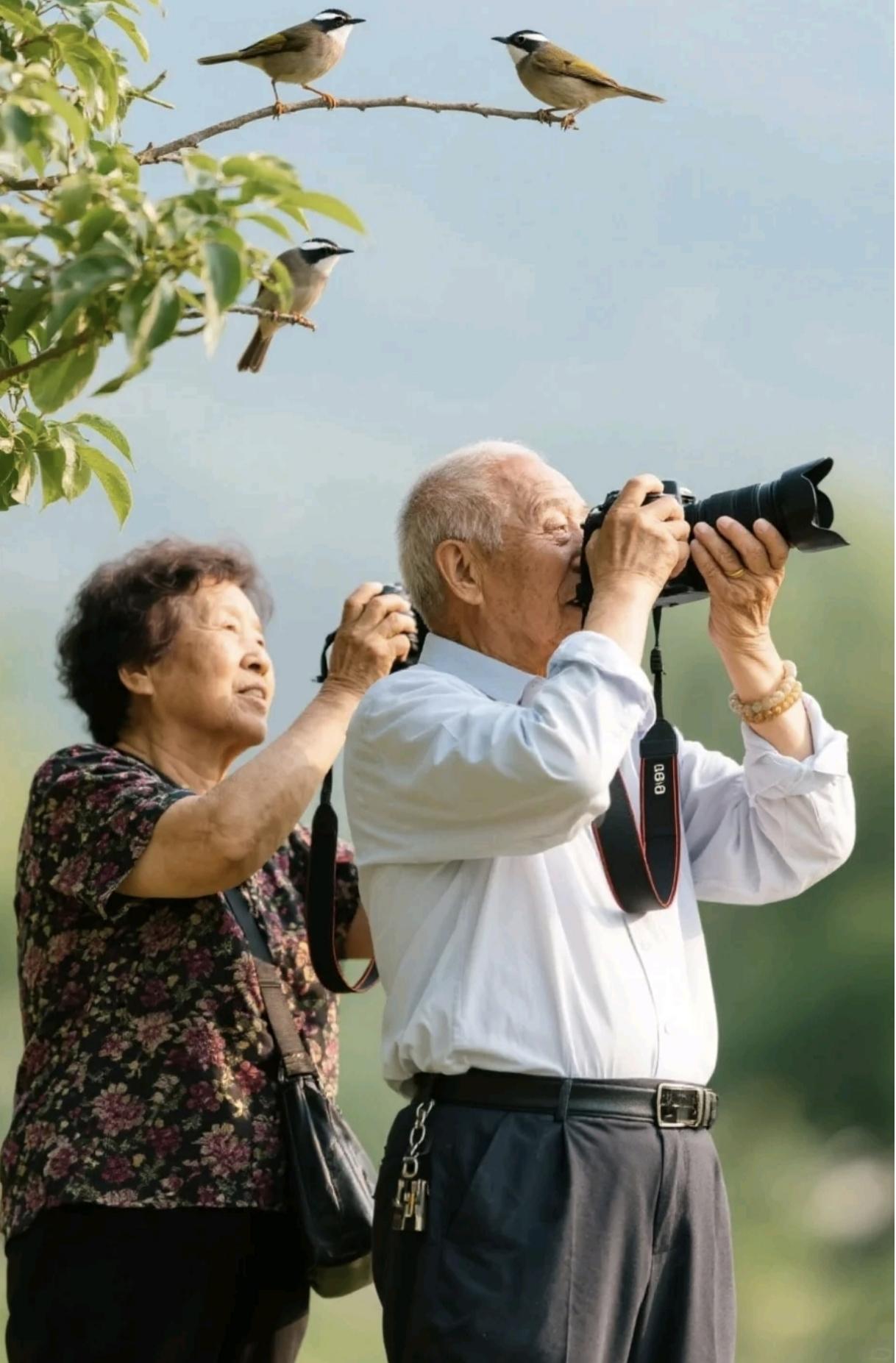 一位河南大爷没加滤镜美颜的“素颜巴黎”照片，
一下子在网上火出圈，
直接冲到了热