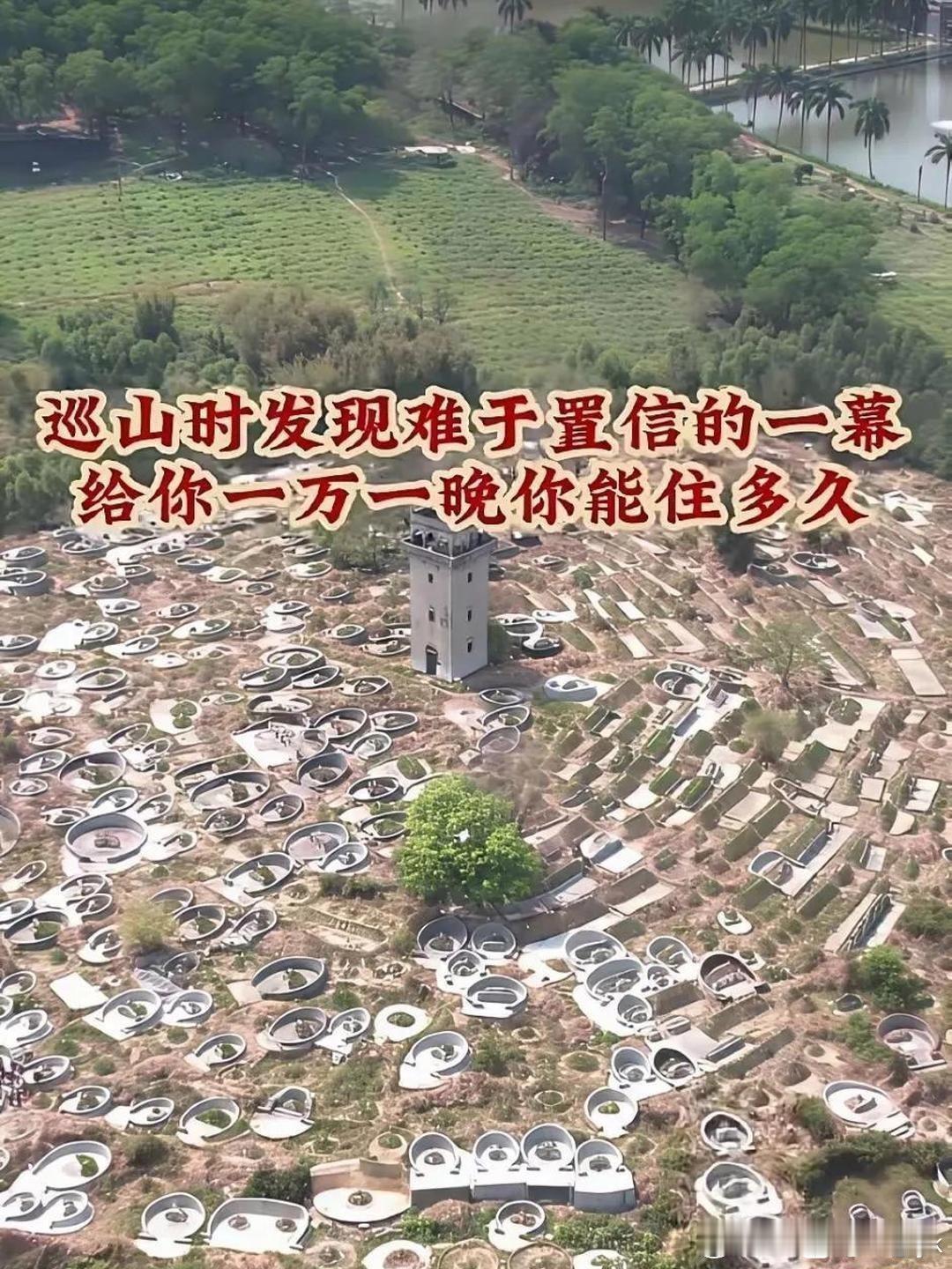 给一万也不会有人住的，瘆人[灵光一闪]