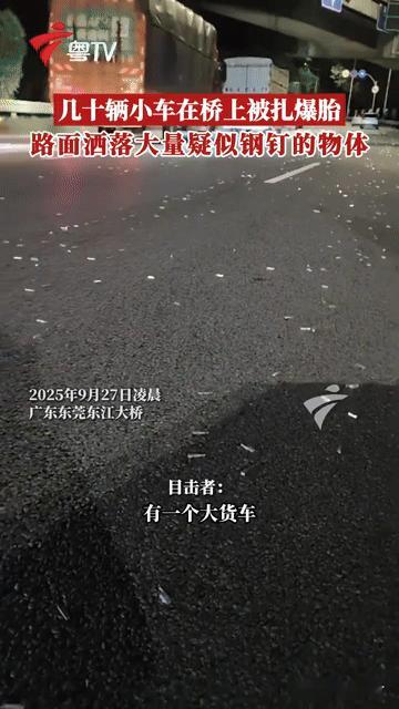 凌晨惊魂！东莞东江大桥几十辆车集体爆胎，路面“钢钉暗器”到底是谁撒的？
 
“砰