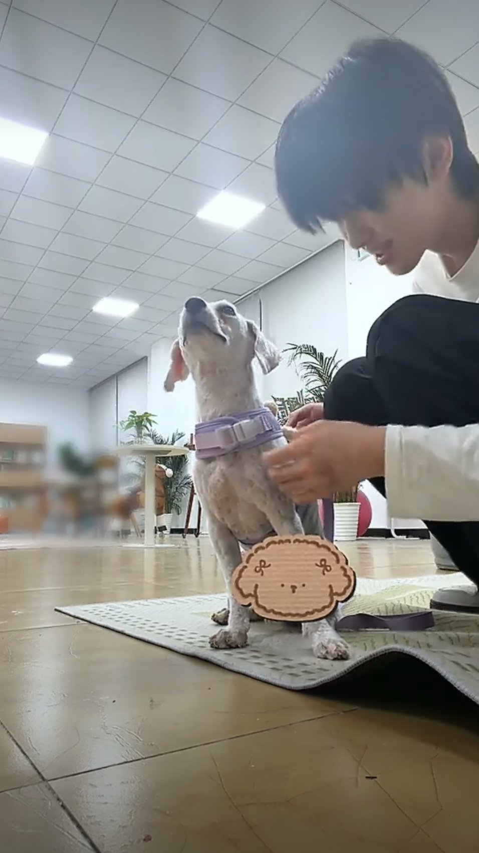 驭犬师 