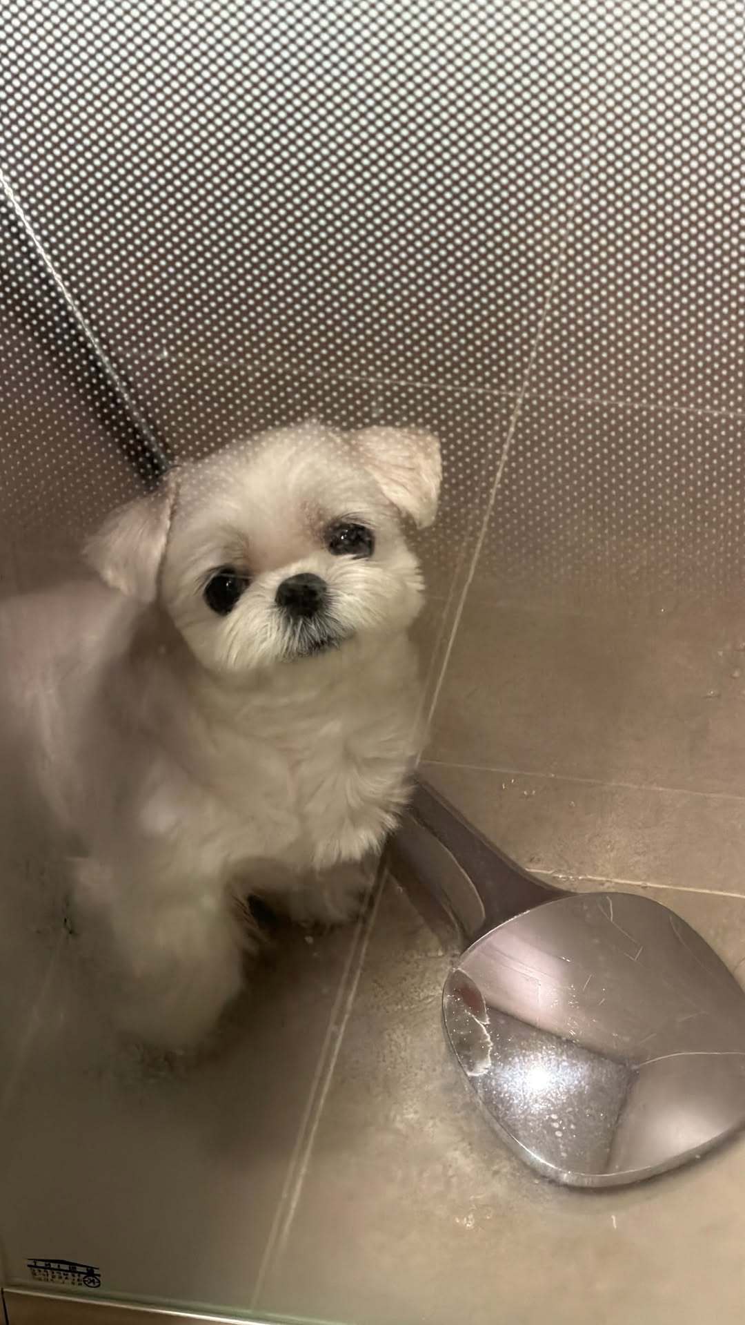 “CB百蓝_。260119利特 ins story更新： 