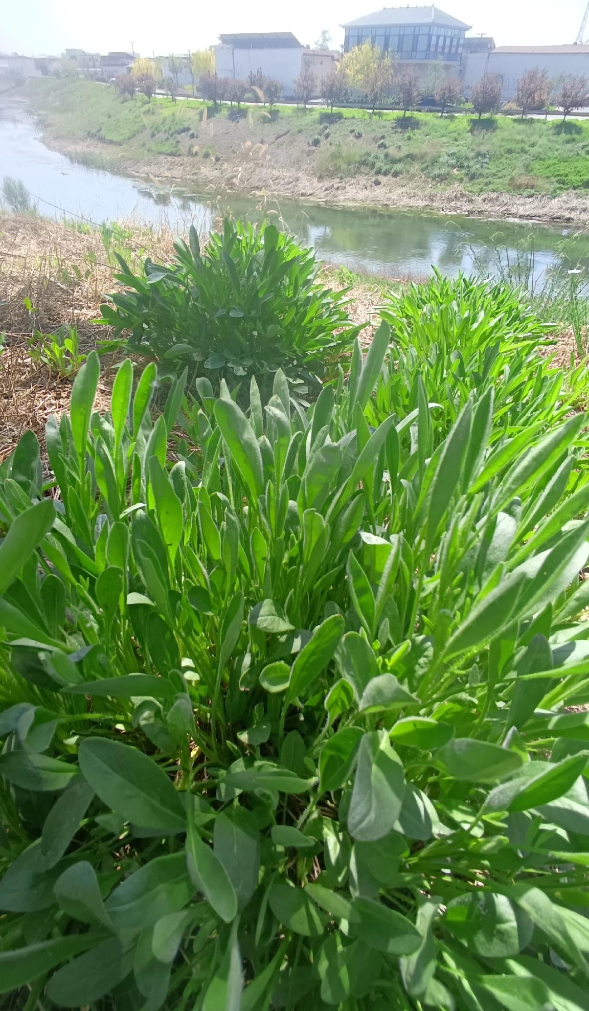 男人动了真感情，藏不住的
 
嘴上可能不说多爱你。
但你咳嗽两声，
他转身就找药