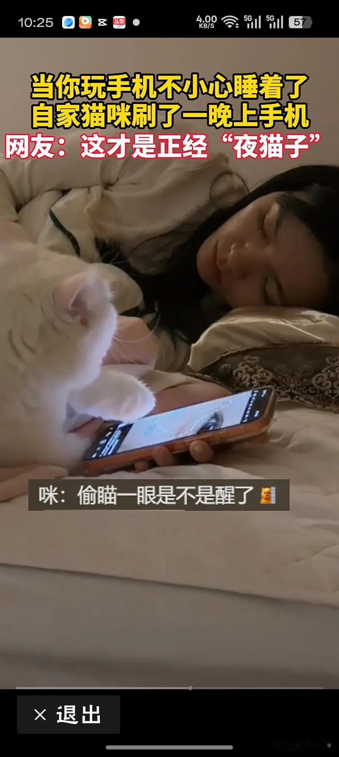 猫咪趁主人睡着刷了一晚上手机这只“夜猫子”算是把防沉迷系统彻底整明白了，建议下次