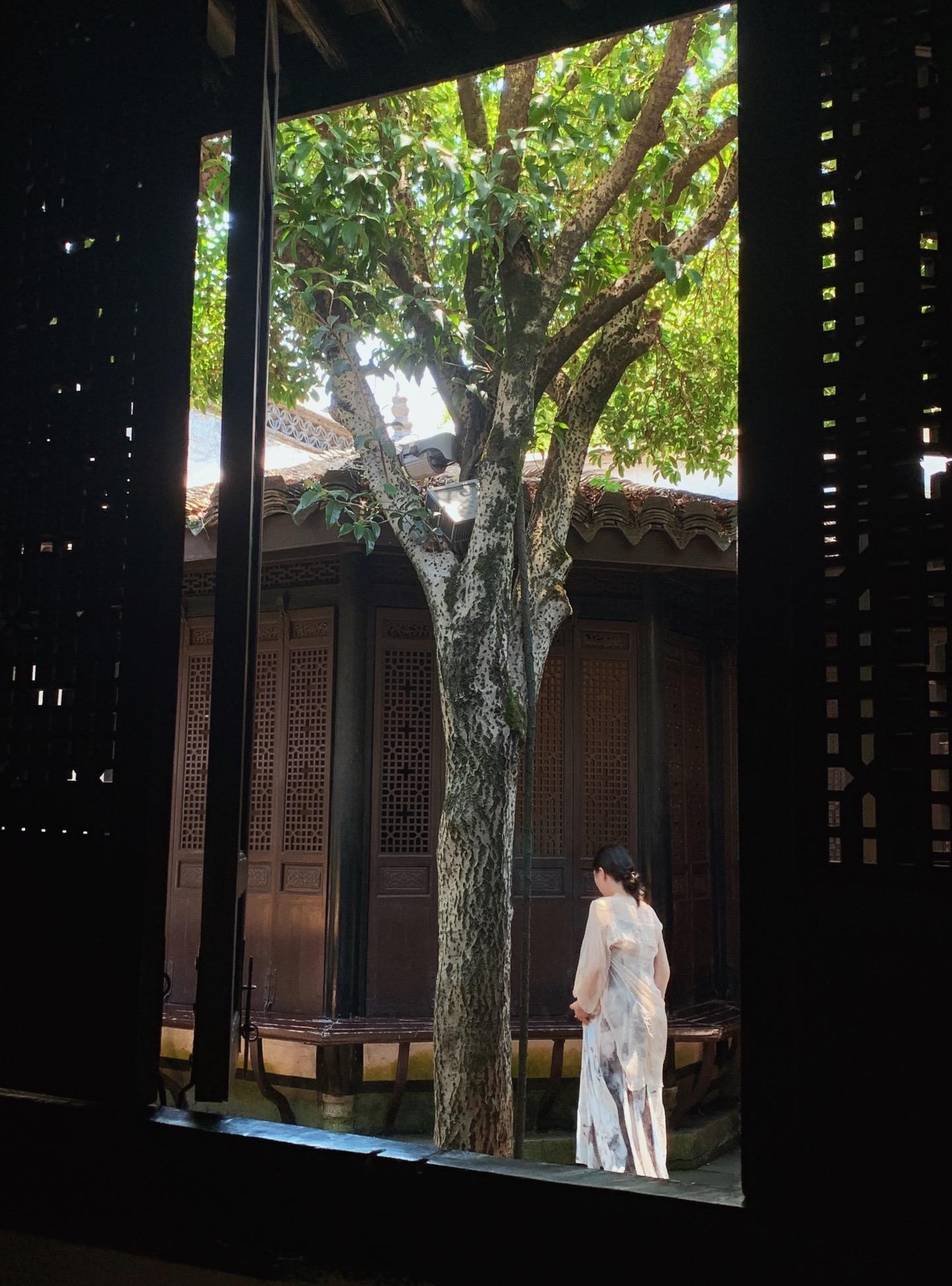 什么时候火侧面，我侧面照片最多。