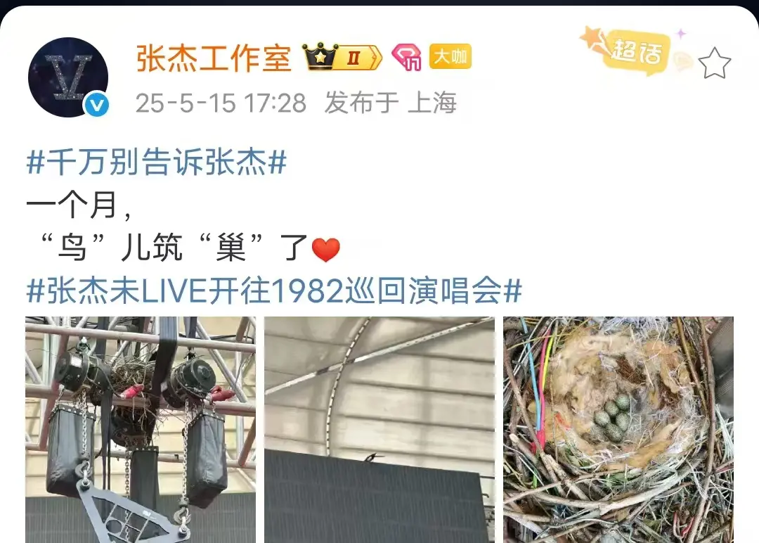 这下真鸟巢了😂😂😂张杰北京鸟巢站