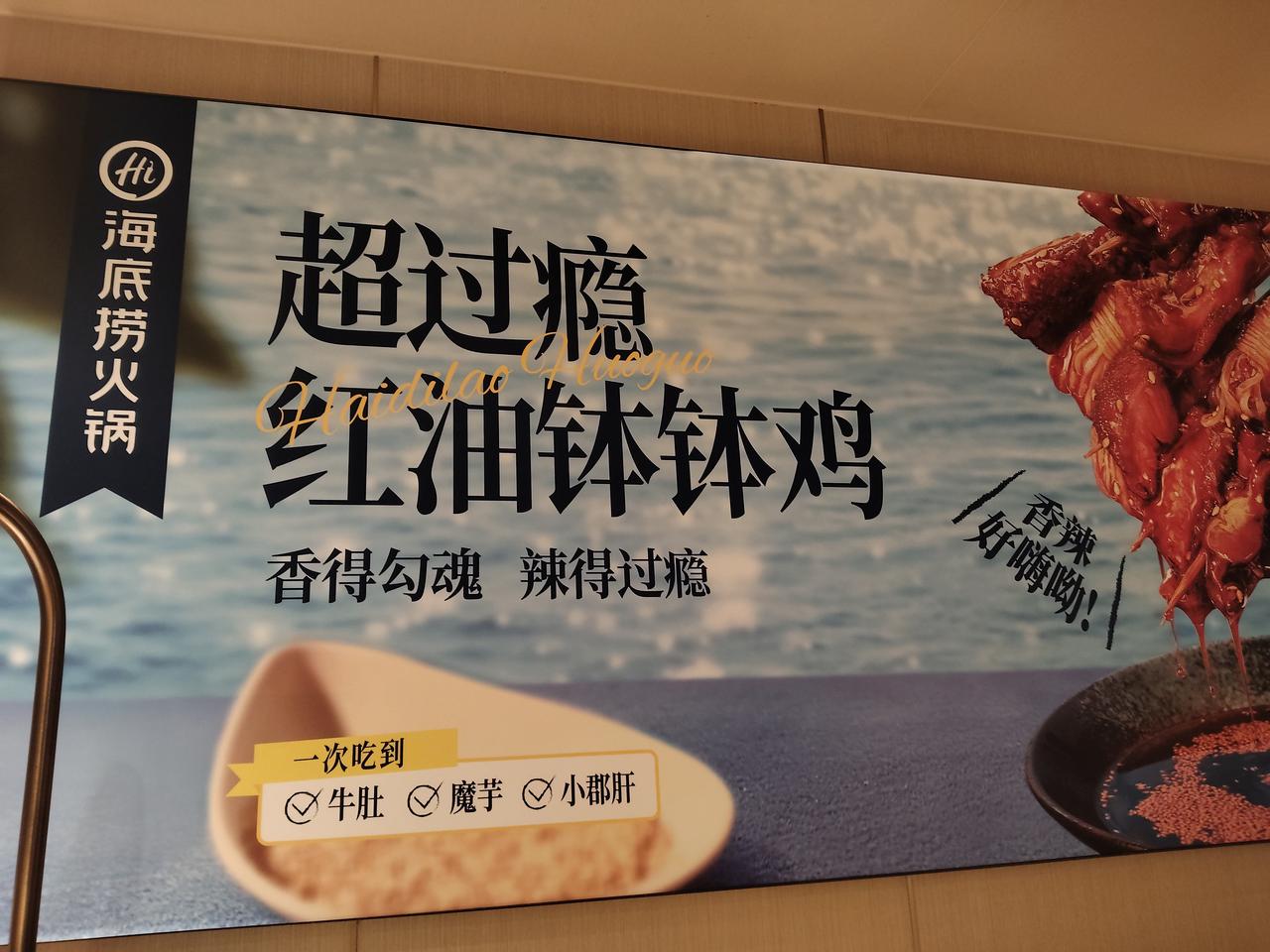 海底捞的服务你绝对是火锅界的爱马仕。就算贵点都是愿意买单的，对带着婴幼儿的宝妈实