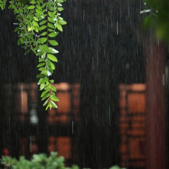 屏风围坐鬓毵毵，绛蜡摇光照莫酣。京国多年情尽改，忽听春雨忆江南。--------