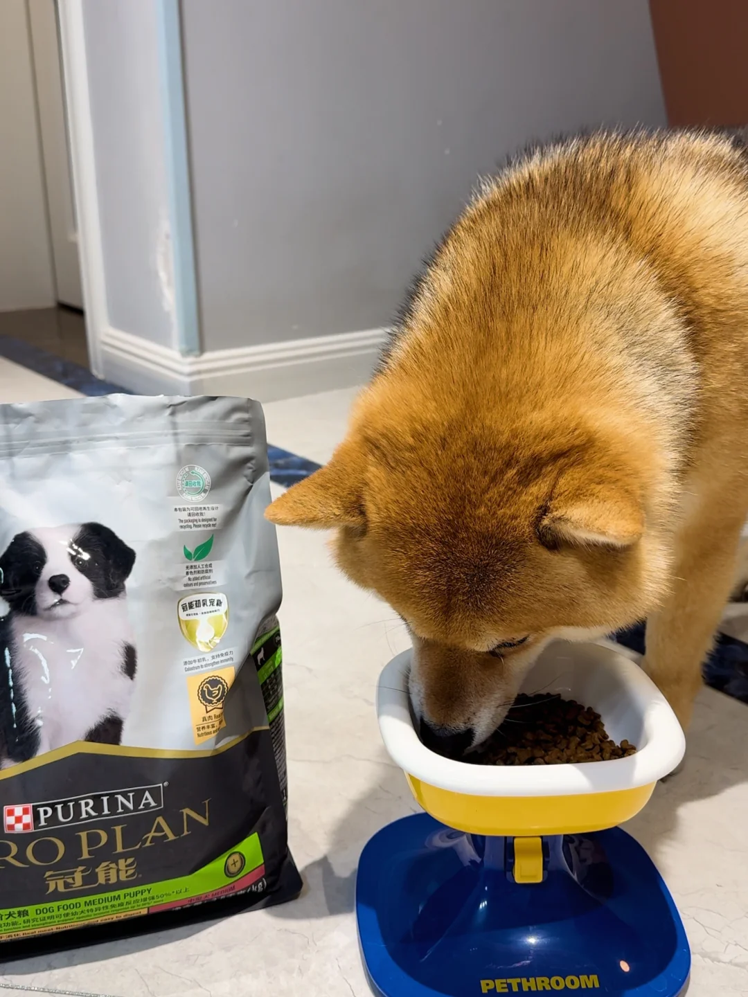 处对象吗 照片本人