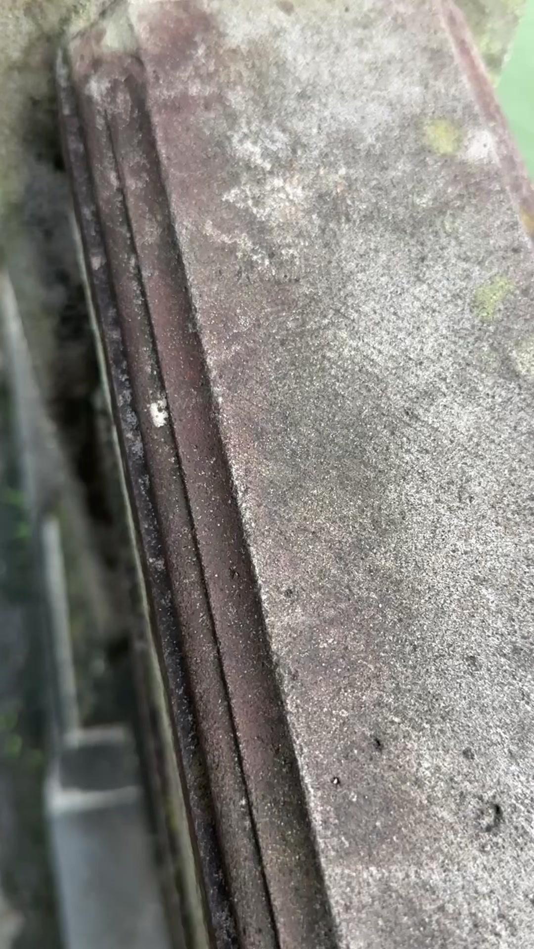 🎣钓鱼人深夜吐槽：好多鱼啊，可惜没带鱼竿，这波快乐被打断了！

我本来准备去河