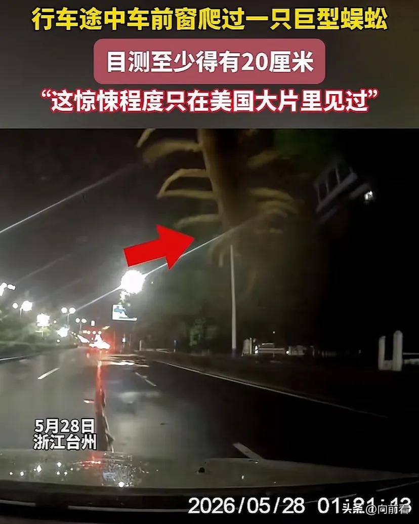 浙江台州。
车主夜间行车，突然一条20厘米长的蜈蚣从车窗外爬过。无数脚脚依次爬过