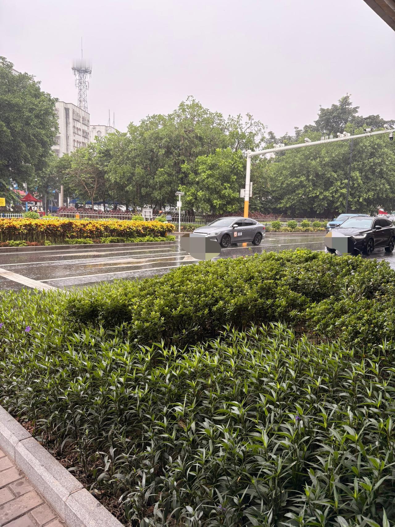 今天在桥下面躲雨，观察了一下穿梭的汽车，
应该观察了一百辆左右，

其中30万元