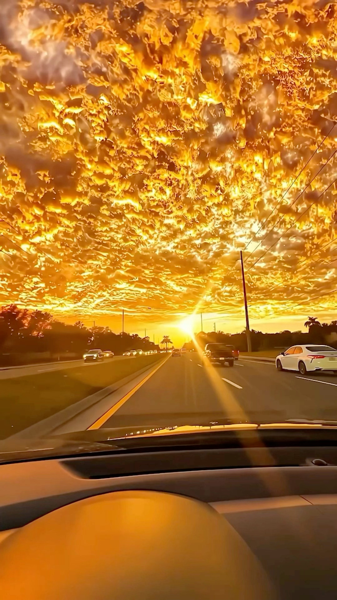 苹果📱动态壁纸☆风景 