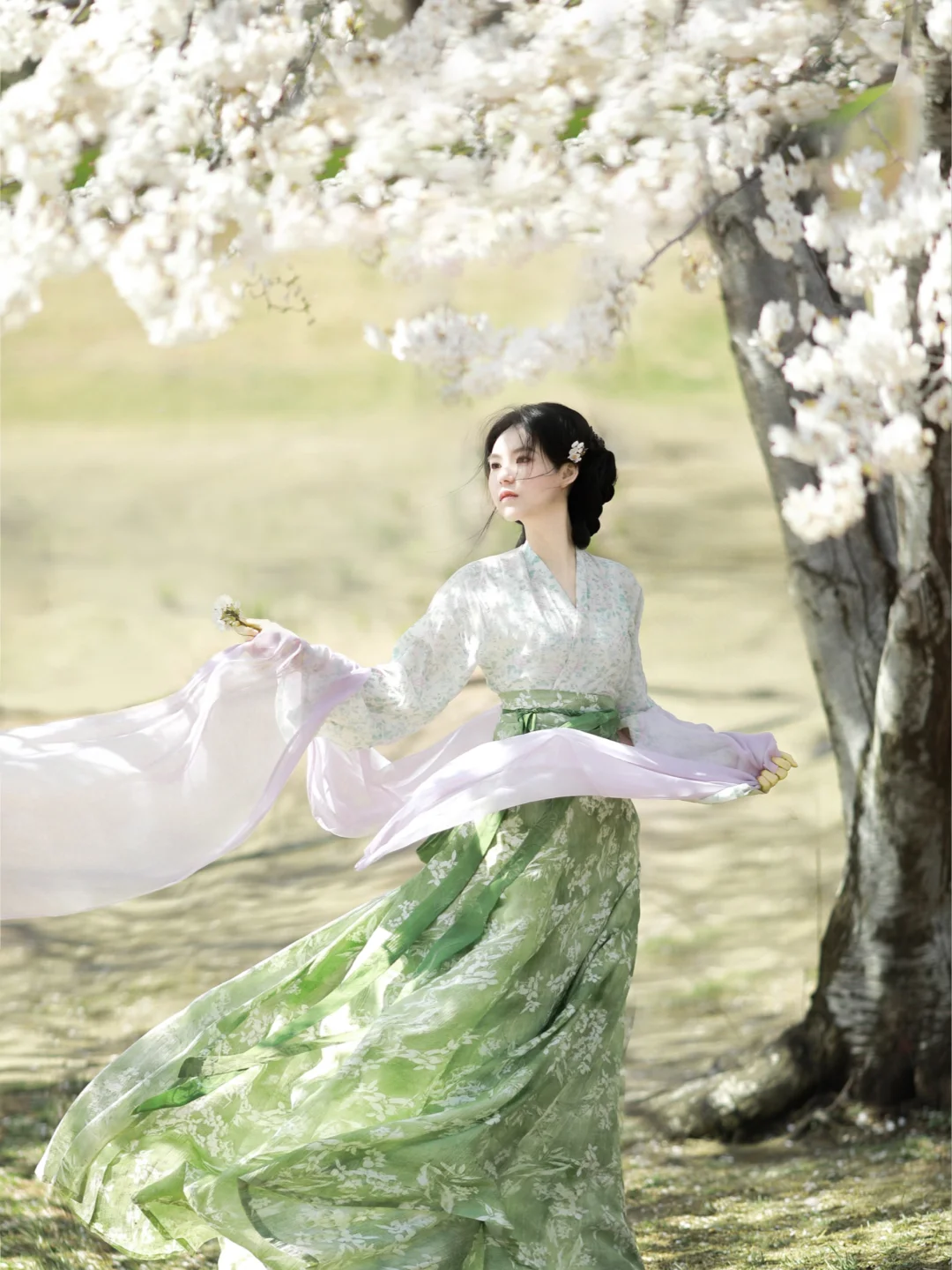 星河湾樱花与汉服🌸