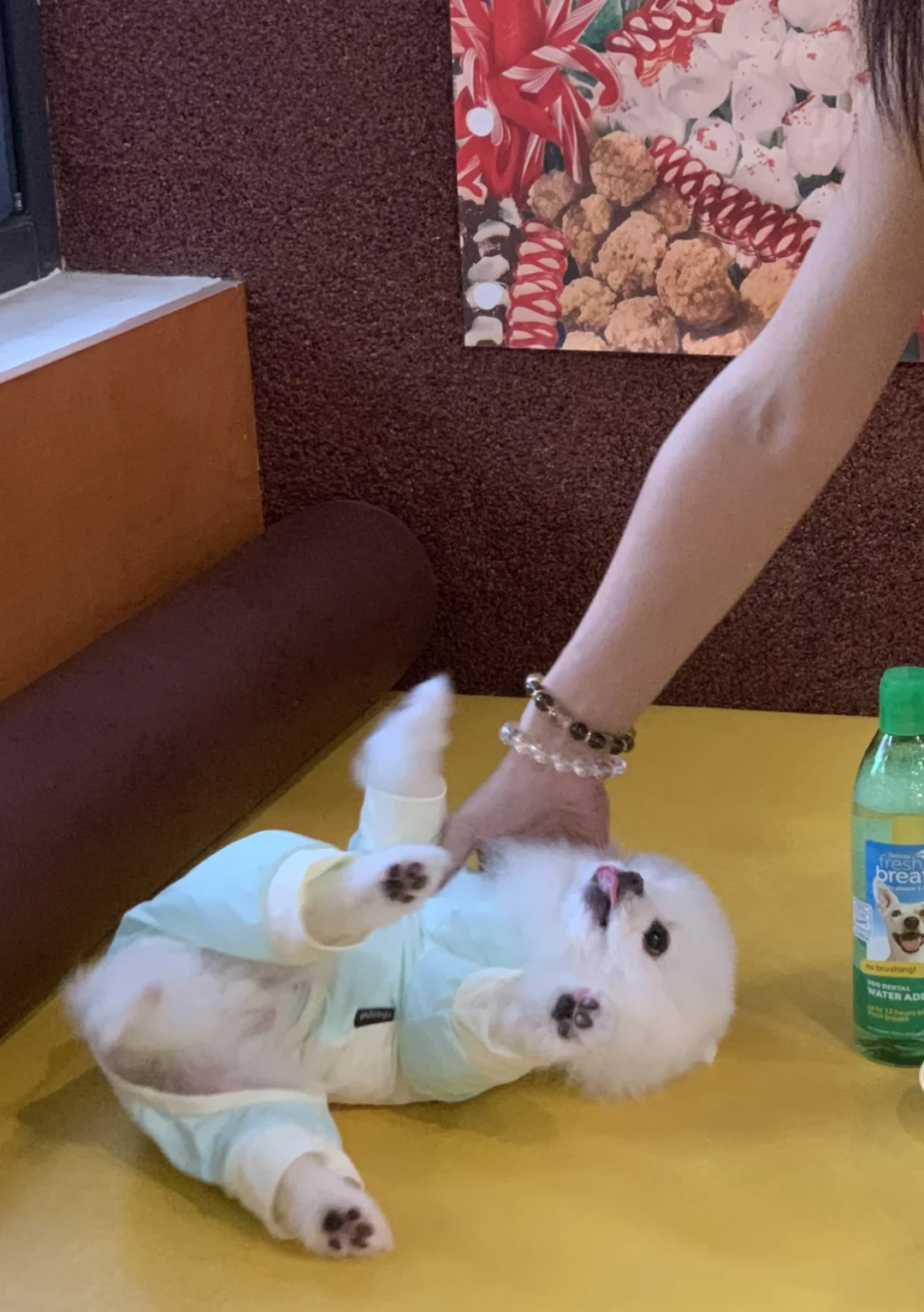 卖个萌🍨