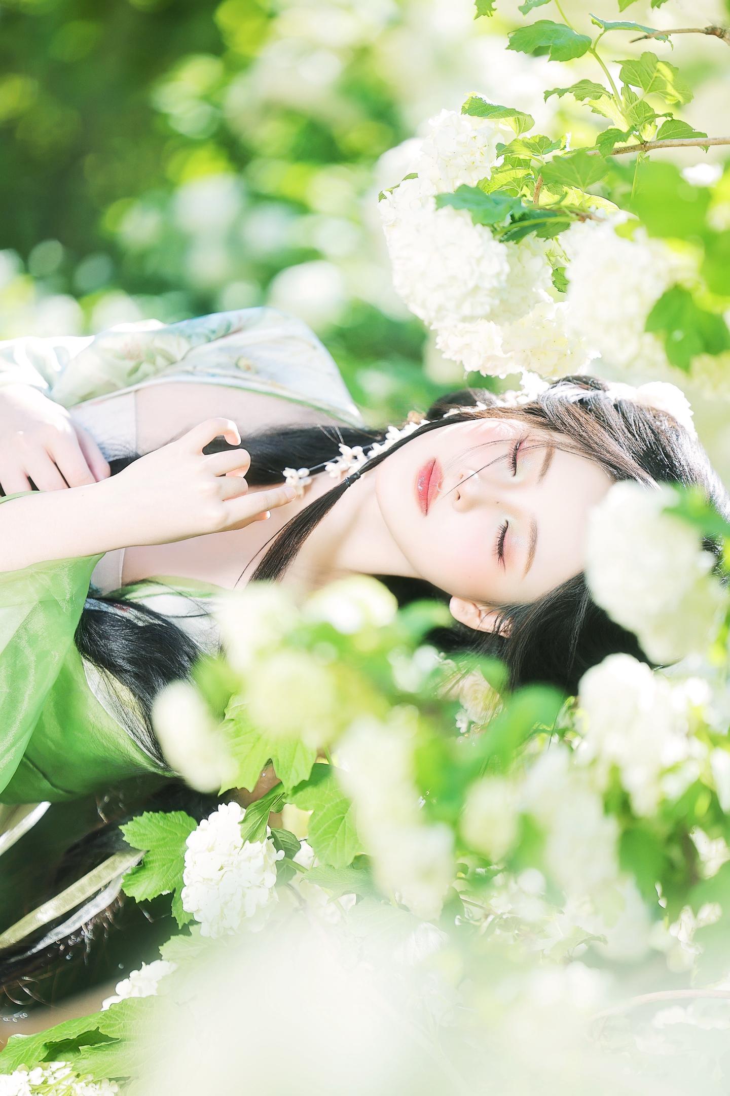 春风缠住我。拍了拍木绣球 摄/后：我