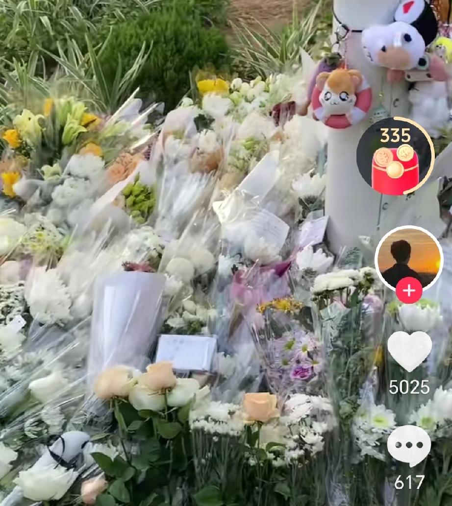 一公里花队藏深情：
香港伤痛处，
是全国同心的温度
 
香港大埔宏福苑的浓烟尚未