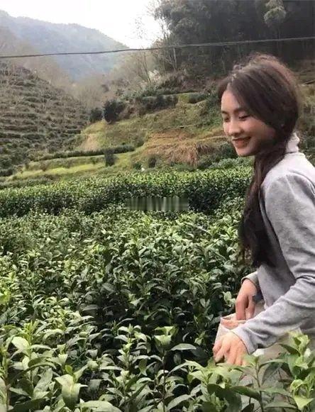 颜值完全可以进娱乐圈，卖茶叶不太适合她呢。 ​​​