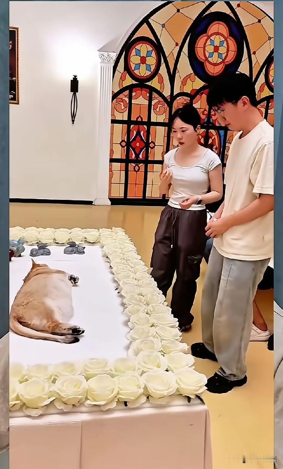 宠物狗死了，主人还特意为它搞了一个告别仪式，这情景感觉不像是搞笑的画面，像是真实