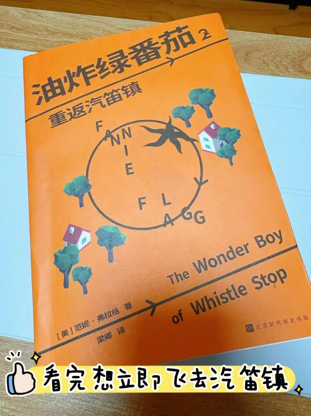 人生好书|《油炸绿番茄2》老朋友们完美的结局