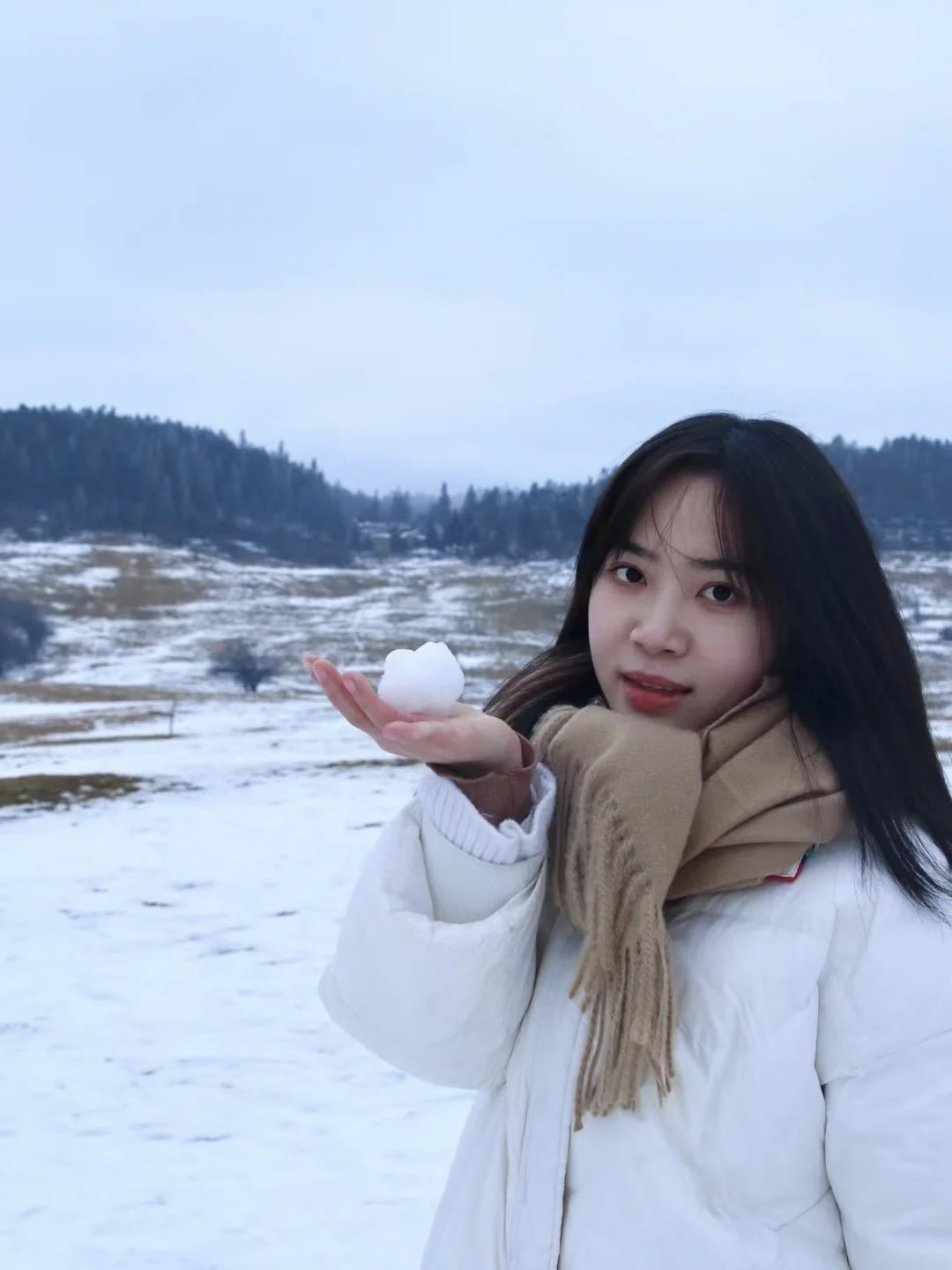 听说重庆也下雪了，这些必去的雪景观赏地