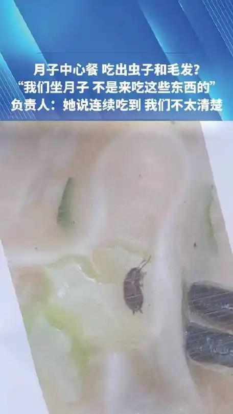 怒到发抖！河南宝妈花1.8万住月子中心，12天6次吃出蟑螂毛发，宝宝手指还被剪伤