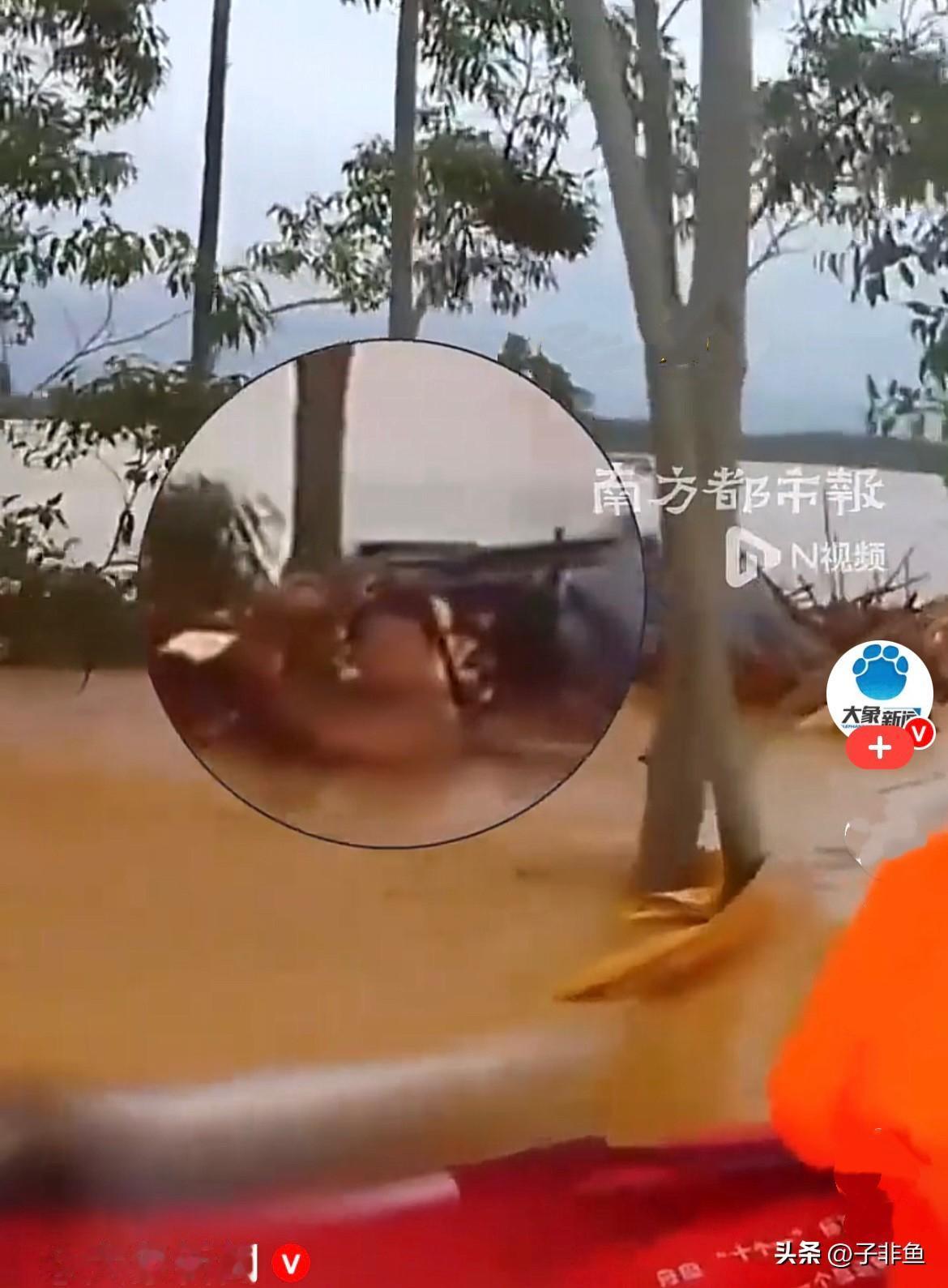 7月6日，广西南宁一名小男孩不幸被困洪水中央，四周皆是滔滔浊浪，无路可退、无处可