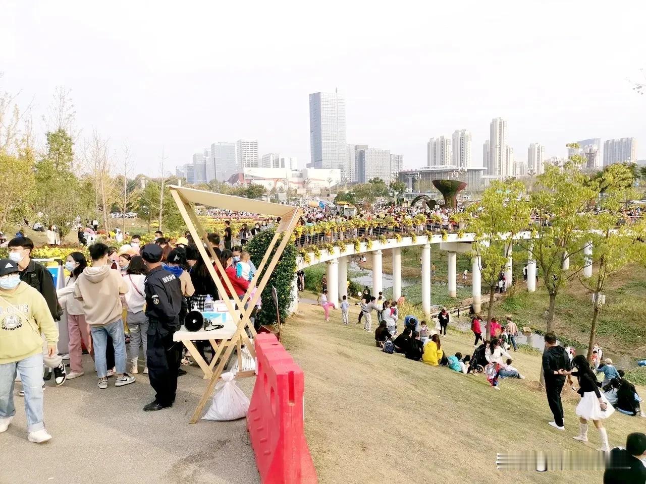 最近正值武汉菊花盛开，很多公园都在搞菊展，辣姐在光谷鸡公山公园看到，前来赏菊的游