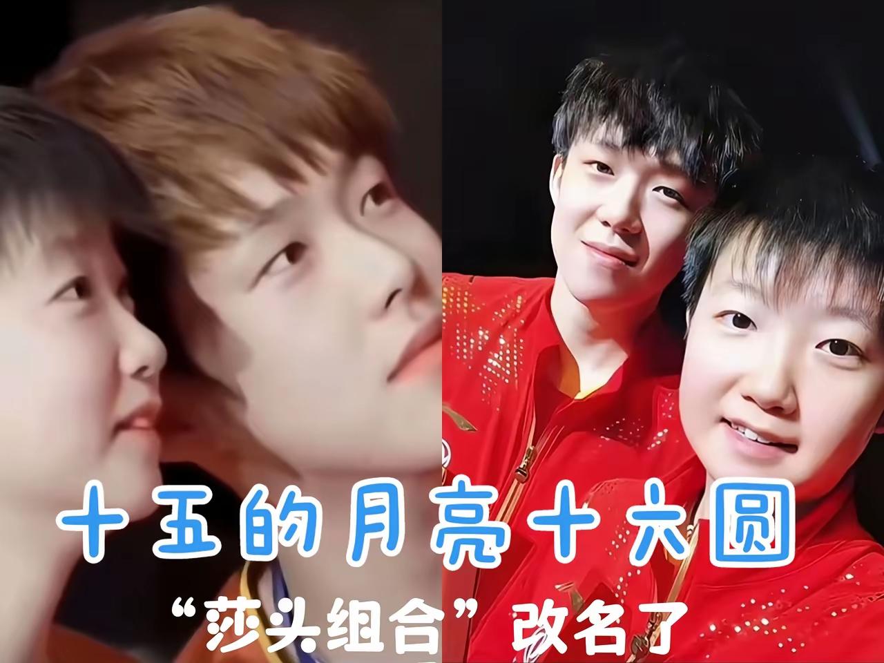 十五的月亮十六圆
莎头组合难再见

高山仰止一棵松
莎头组合是顶峰

莎头组合再