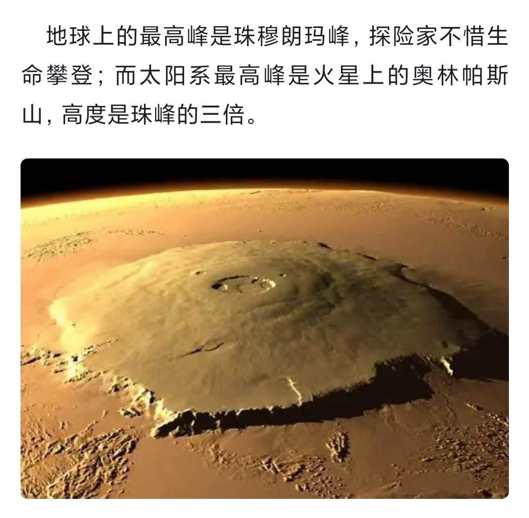 生物的渺小