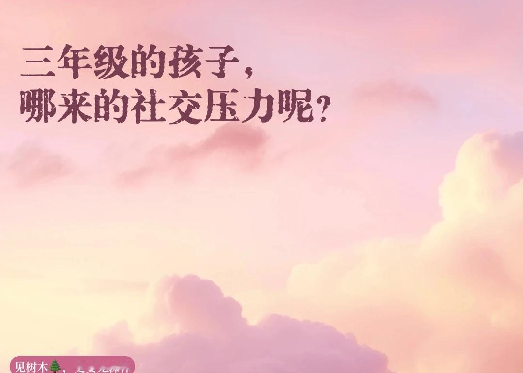 今天的男孩说社交压力的时候谈到了三年级
他记得三年级期末的时候，班级投票选举“榜