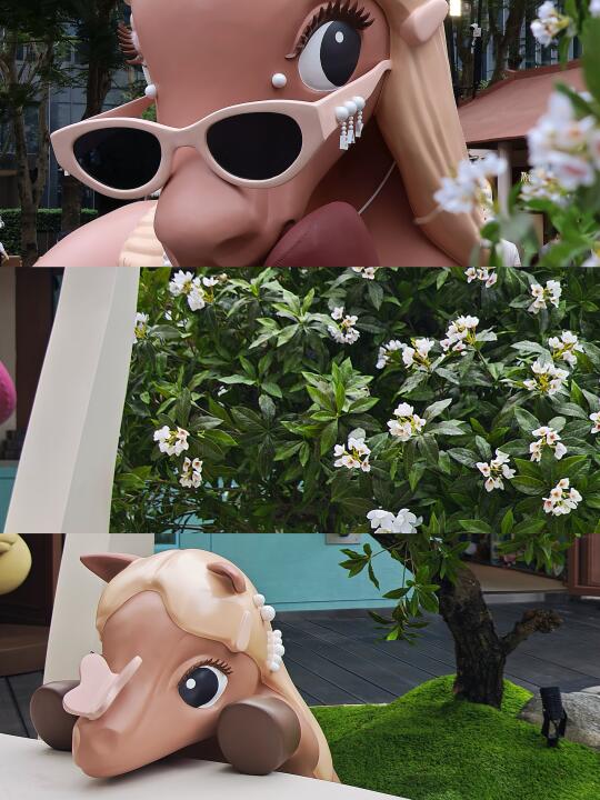 深圳的！！这里真的好chill🉑去去班味！！