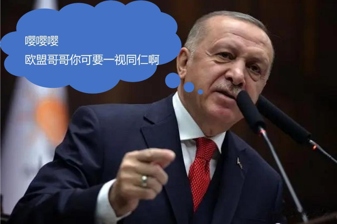 土耳其第二轮投票结束了，埃尔多安将继续担任该国总统，埃尔多安不仅赢得了大选。同时