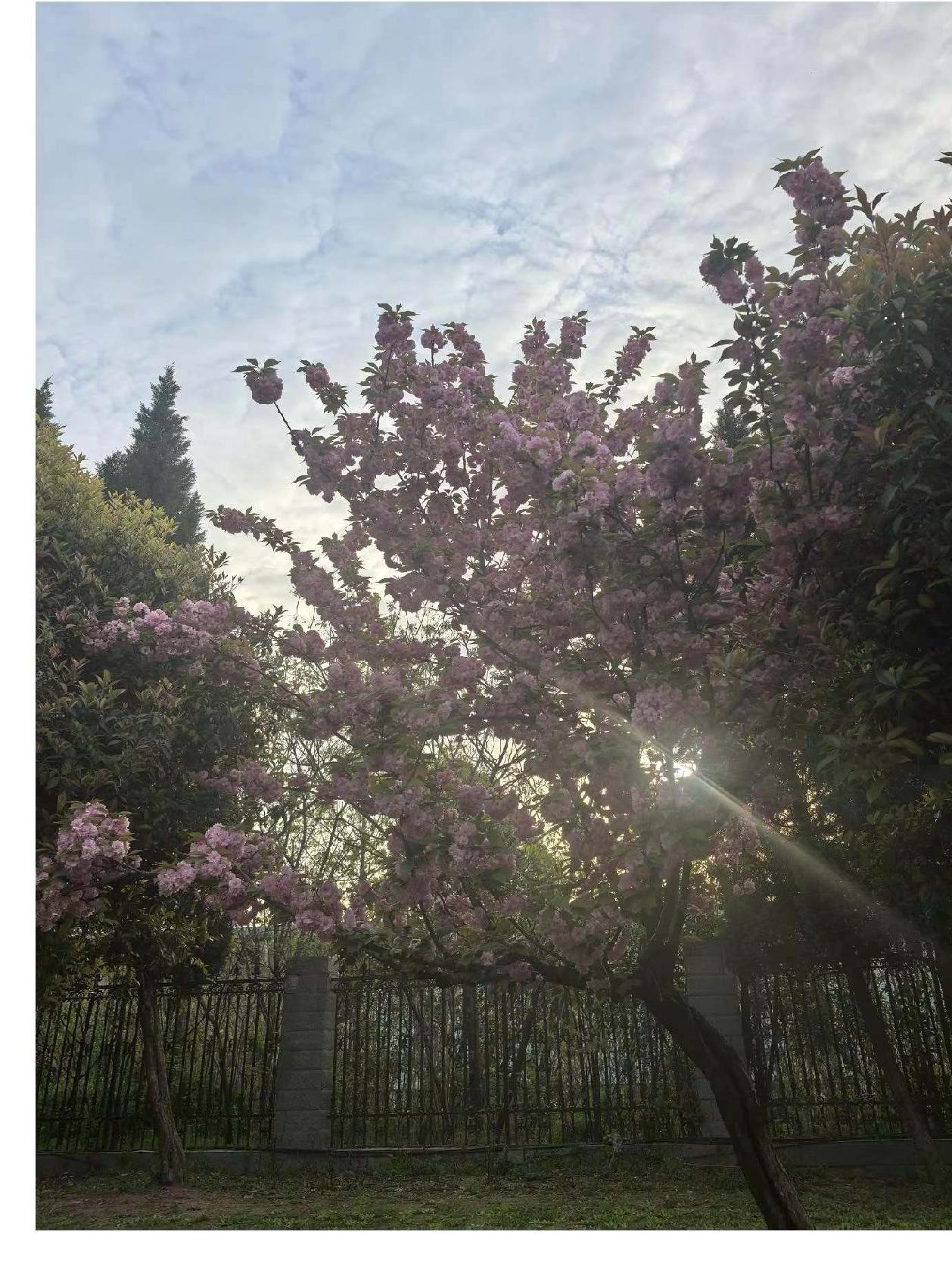 古人总结世人相处的话：贫在闹市无人问，富在深山有远亲。
现在网络发达了，富在远处