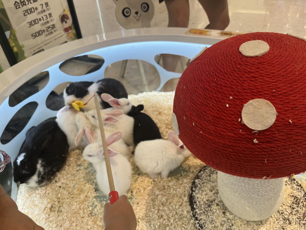 终于知道为啥国家鼓励生娃了，有了娃之后，大人就得带娃去过周末，而只要是出门那肯定