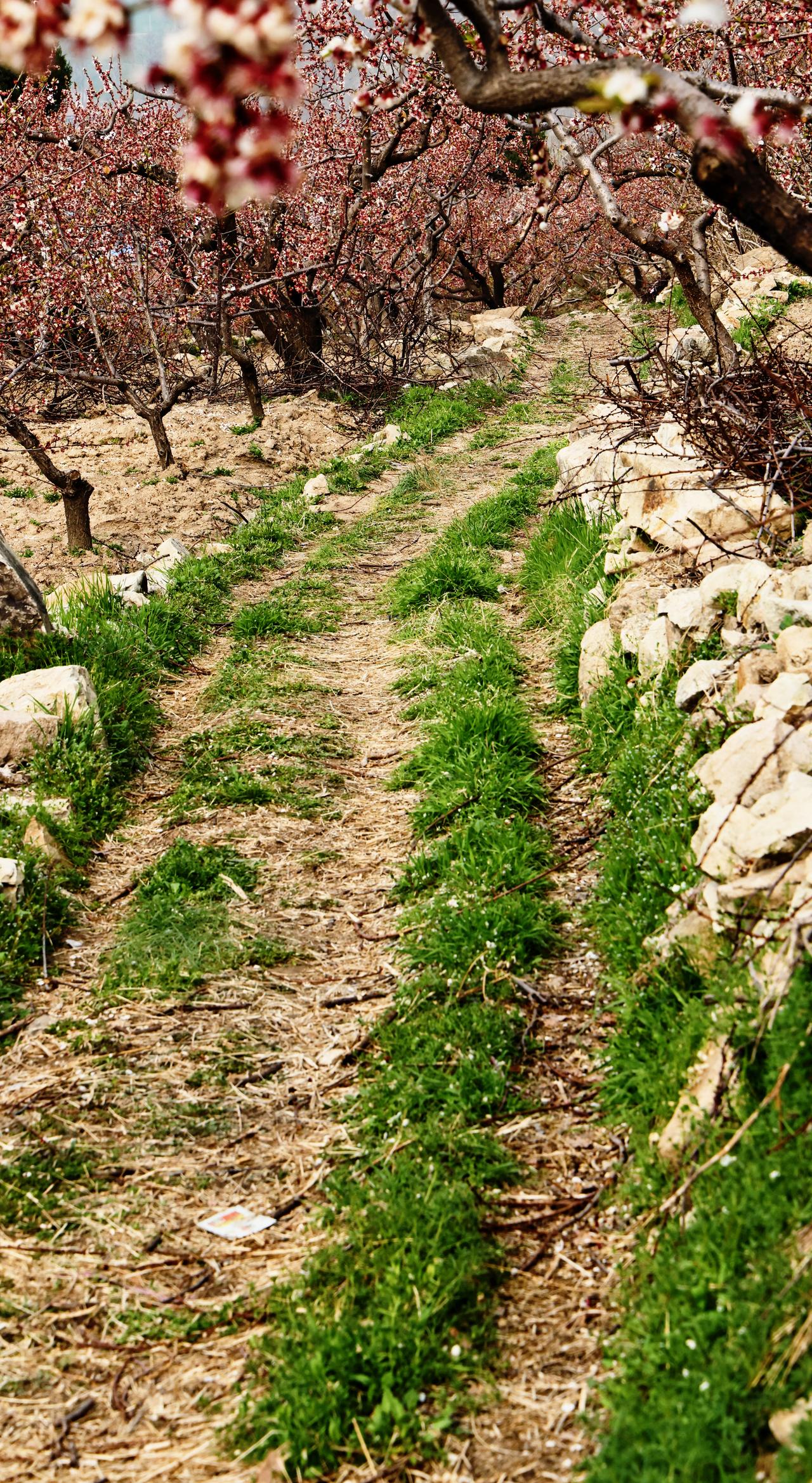 给大家分享我家乡安徽含山六衖石头部落的照片。这里宛如藏在深山的诗与远方，是全国文