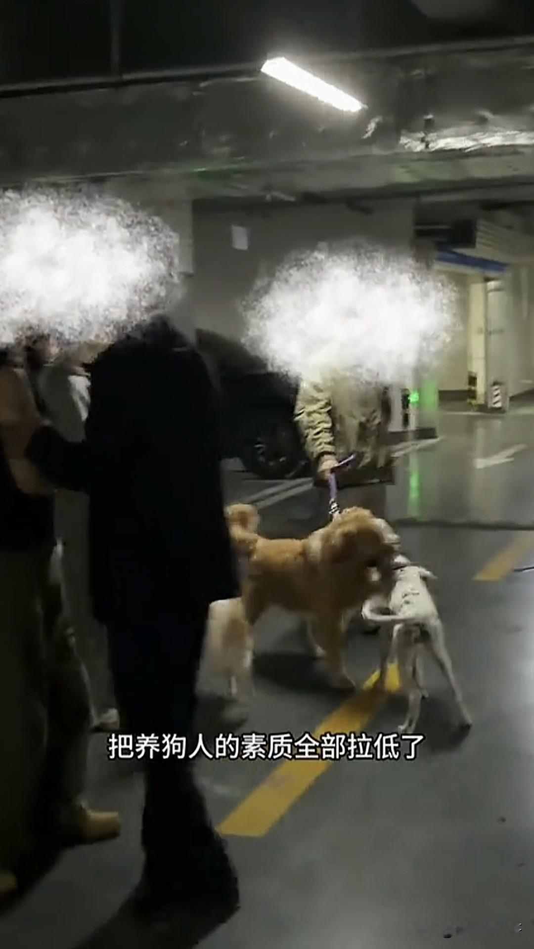 一博主晚上带老婆孩子回家，在地下室刚停好车出来，一女子的金毛就径直冲向他和他的家