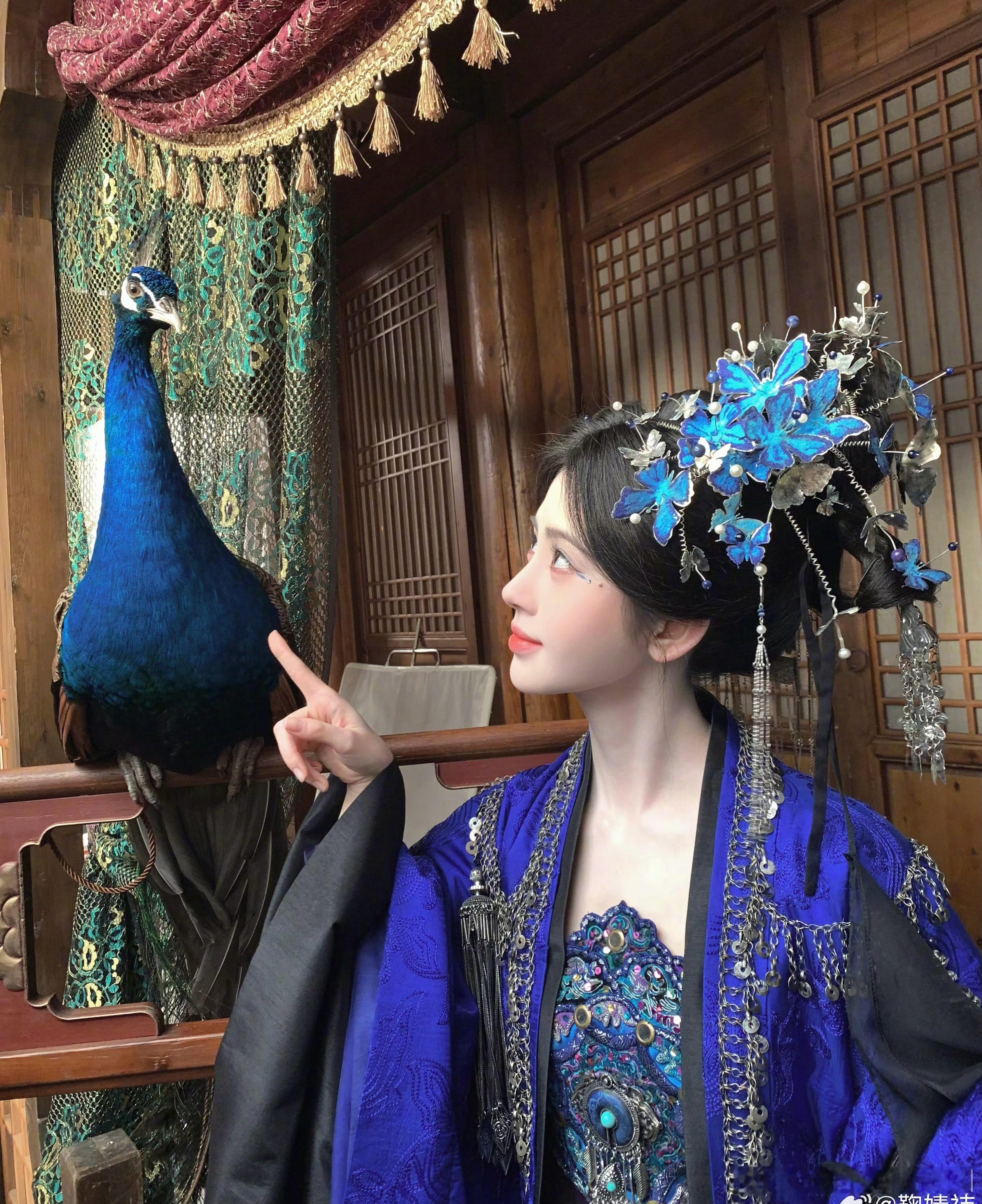 鞠婧祎更新片场花絮照片，好可爱，和孔雀互动，看得出来鞠婧祎真的很喜欢这套衣服了