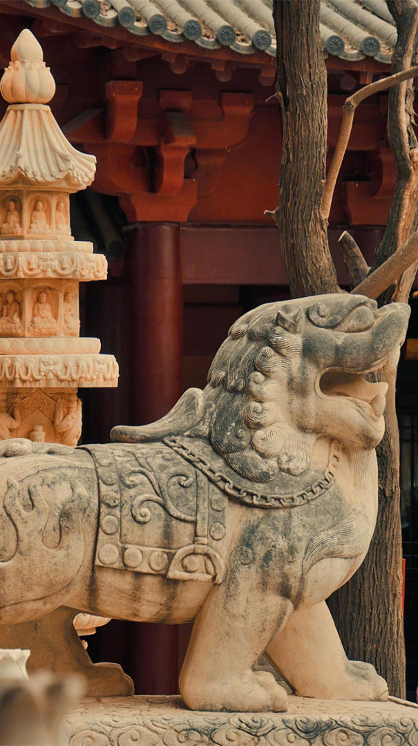 能改变的去改变， 不能改变的去适应， 不能适应的去宽容， 不能宽容的就放弃。 