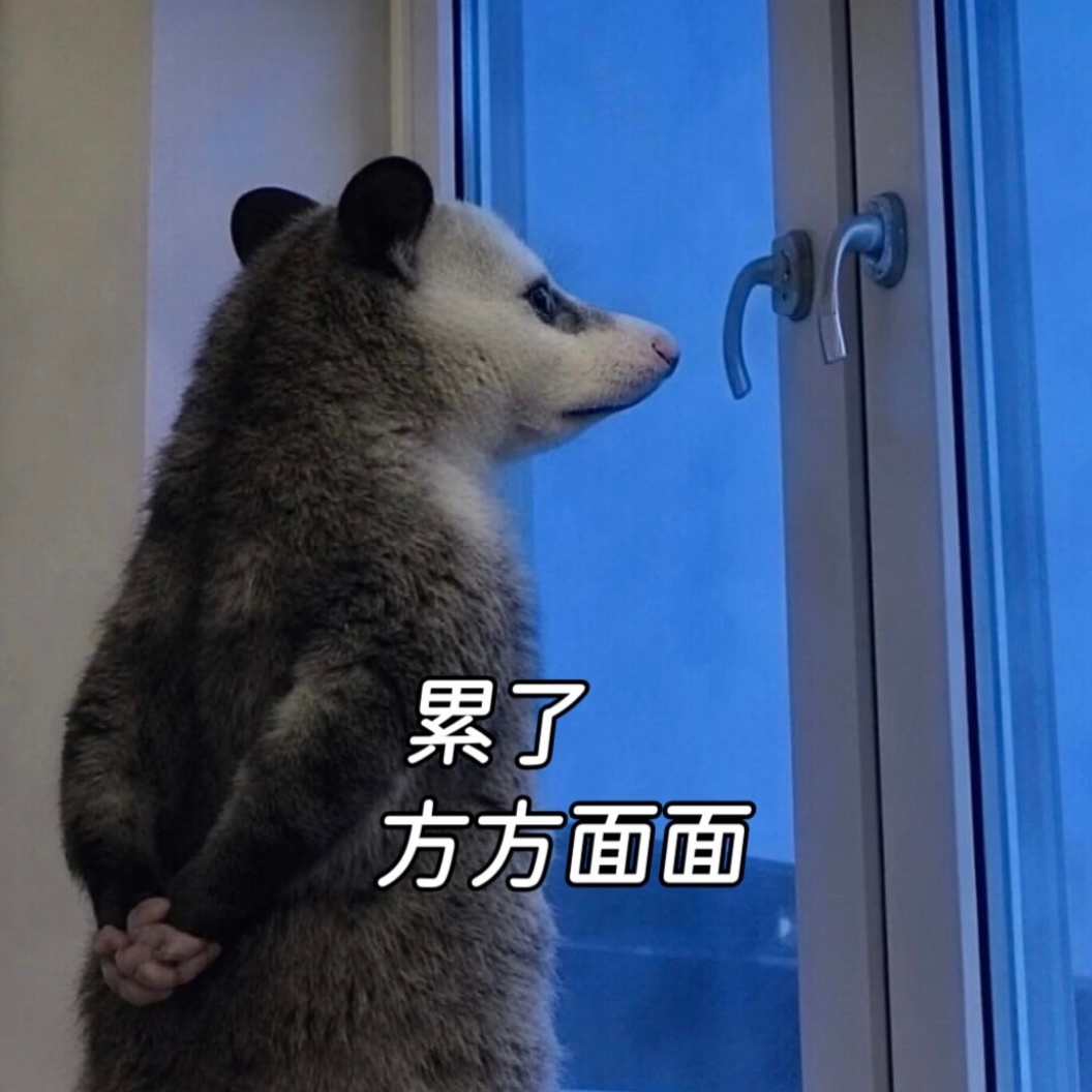 如果倒霉是种天赋，那么我就是天赋异禀。 
