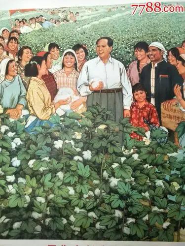 万物生长，不一定全靠太阳（中，续前）
你看，生命并没有被“必须依赖太阳”这一条铁