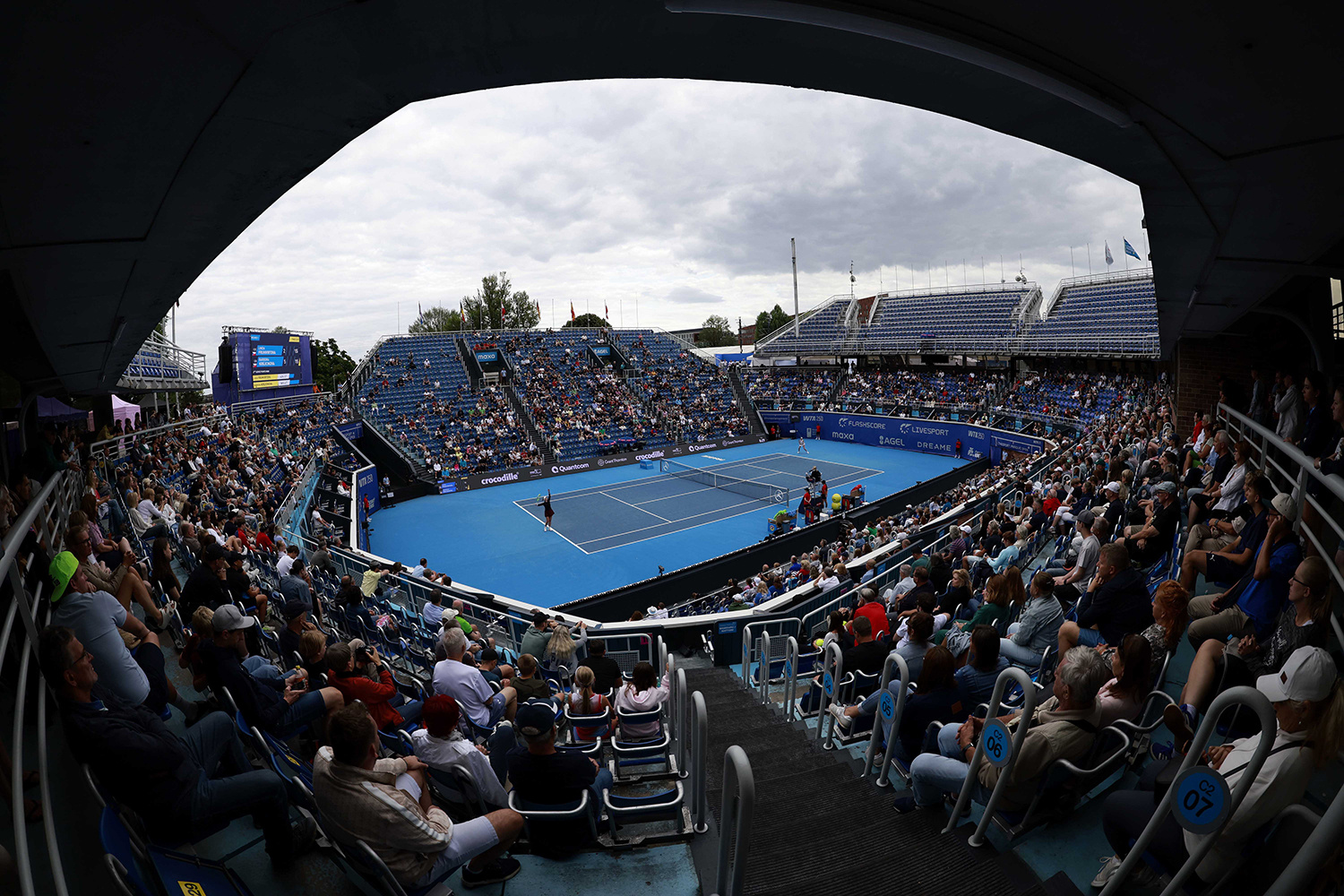 WTA250布拉格站八强对阵出炉，捷克选手占据五席👀布兹科娃 vs 瓦伦托娃塔