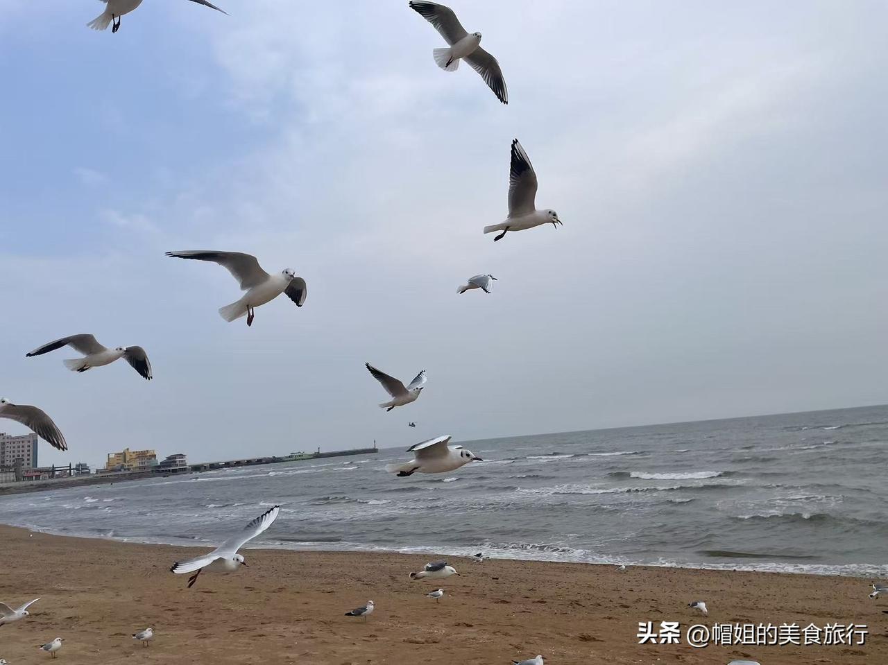 来兴城已经十天了，就住在海滨浴场这里，酒店出门过了马路就是沙滩，每天除了泡泡温泉