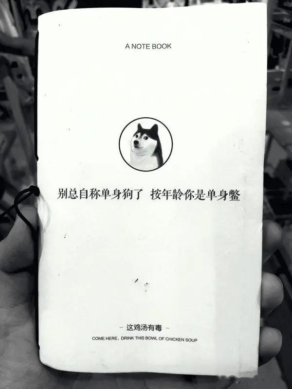 中国成年人的单身人数最新数据出炉了！

现在国内单身的人真的越来越多了，说出来你