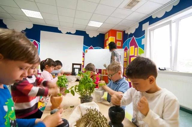 一不小心，发现我们的小学在全国遥遥领先了！
按个人理解，一个小学生：无非就是开智