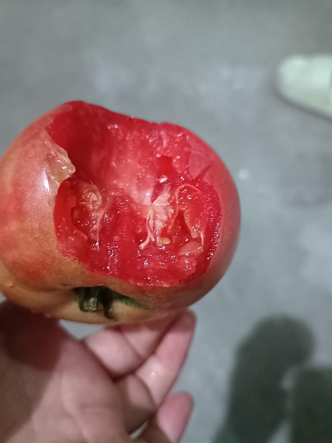 当代人找对象的标准
一个处在热恋期还没结婚的大男孩问我，阳阳姐，你找老公的标准是