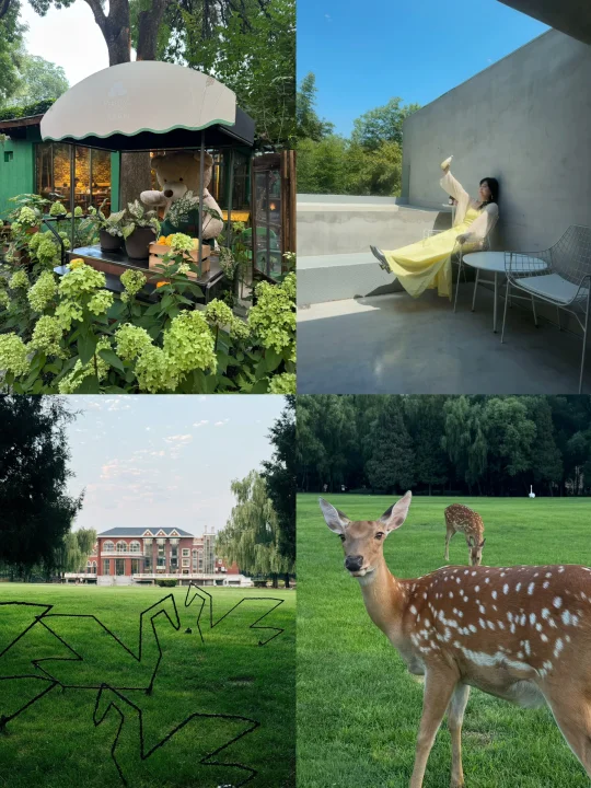 北京｜清凉解暑🌿京城含绿100%的夏日乌托邦！