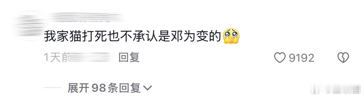 邓为新剧男狐狸爆改小猫咪  邓为强烈的反差感真的超有吸引力的，《仙台有树》导演神