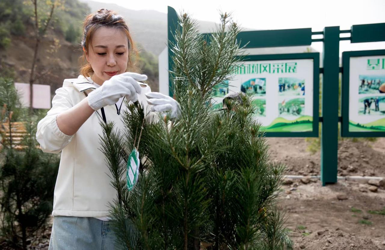 国庆假期刚过，小外孙便回北京上学去了，女儿又动身去重庆出差，一走就是一周多。她跟