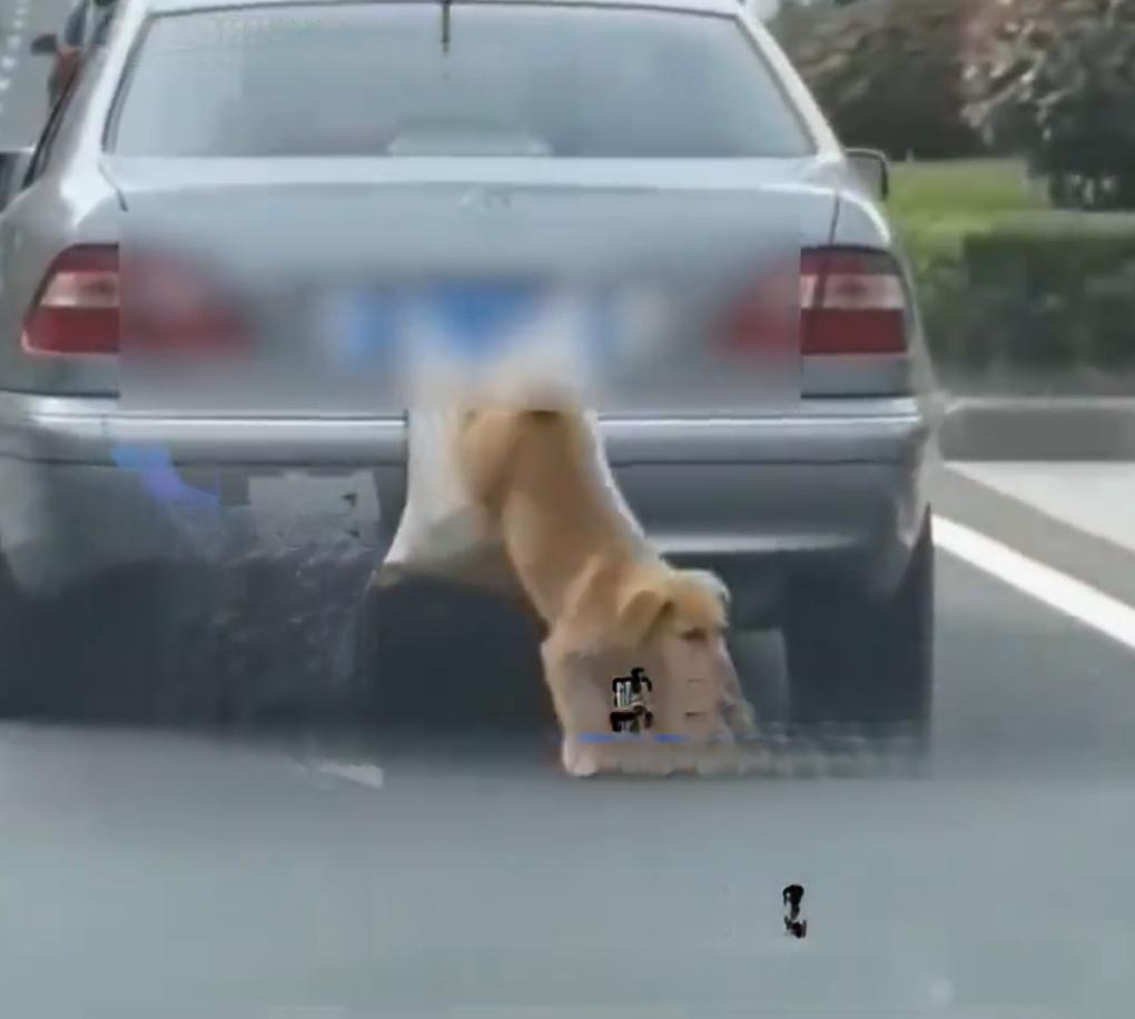 2月25日，四川乐山的吴先生经历了一场触目惊心的旅程。他驾车从乐山前往重庆，在短