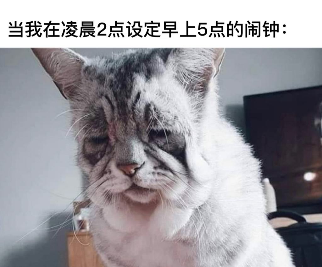 精神不太好呀 